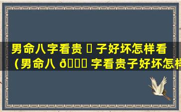 男命八字看贵 ☘ 子好坏怎样看（男命八 🐒 字看贵子好坏怎样看婚姻）